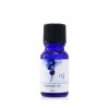 NATURAL BEAUTY - Spice Of Beauty Essential Oil - Brightening Face Oil 8W1504 10ml/0.3oz