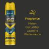 ABOVE Sport Energy - 48 Hours Antiperspirant Deodorant - Dry Spray for Men - Woody