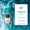 ABOVE Ocean - 72 Hour Elements Antiperspirant Roll-On Deodorant for Men - Notes of Lemon, Bergamot