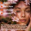 100% Pure Manuka Oil from New Zealand Therapeutic Grade Essential Oil for Wound Care Skin Soothing Nail & Scalp Health Organic Undiluted Cold Pressed
