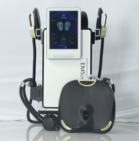 6500W DLS-EMSLIM Muscle Stimulation Body Sculpting Machine Body culpting Machine Emszero Neo Machine (Color: 5 Handles RF, Plug Type: EU Plug)